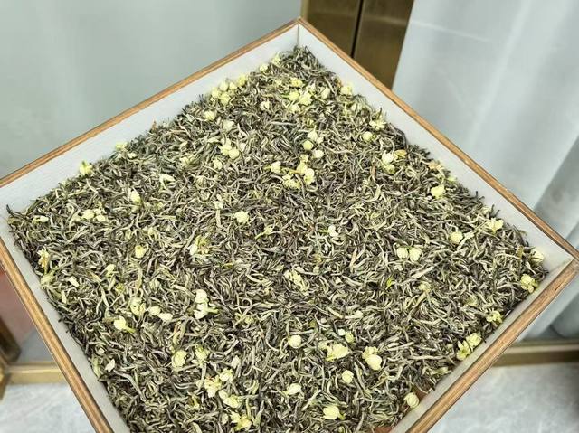 茉莉雪芽