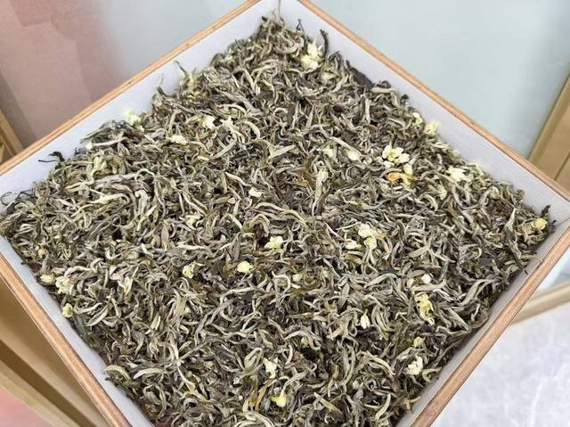 精品大白豪