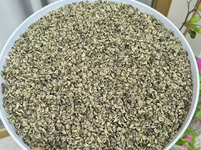 茉莉白玉螺