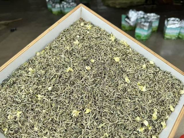 茉莉白雪花