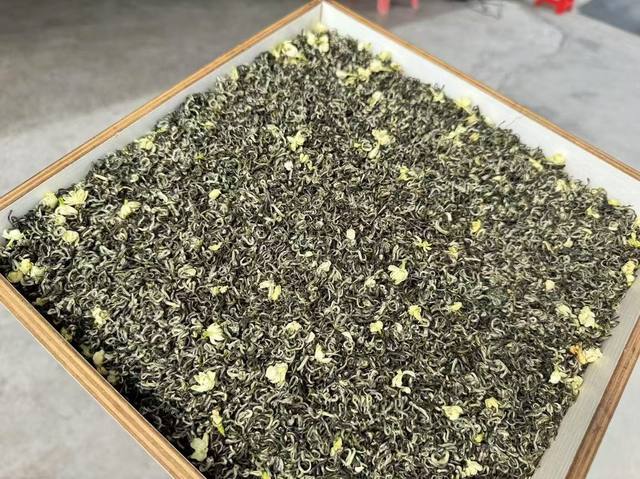 茉莉特级飘雪